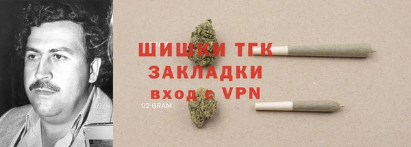 мдпв Касимов