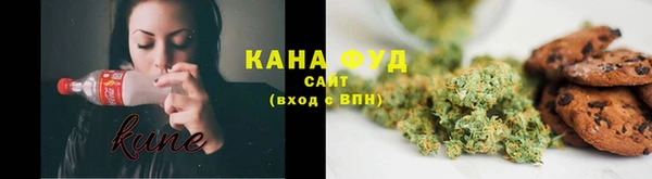 мдпв Касимов