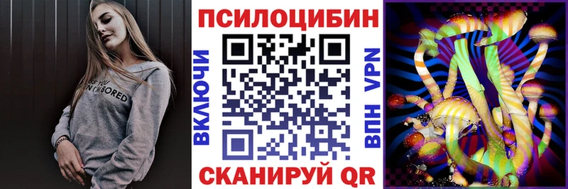 Купить  Данков  Галлюциногенные грибы Psilocybe 